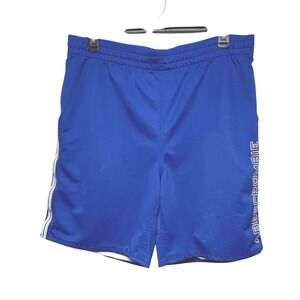 Abercrombie & Fitch Mens Gym Issue Mesh Lined Athletic Shorts Blue Y2K Striped